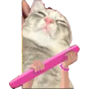 Francis kitty  3