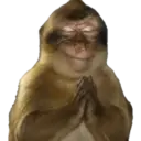 MEMES RANDOM PARTE 80 7