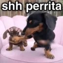 MEMES RANDOM PARTE 80 15