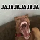 MEMES RANDOM PARTE 80 19