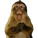 MEMES RANDOM PARTE 80 30