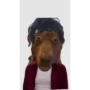 Memes engraçados 19