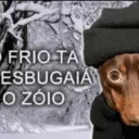 Memes engraçados 28