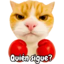 Frases de gatito#1 💬🐱 5