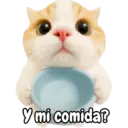 Frases de gatito#1 💬🐱 6