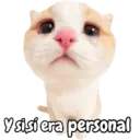 Frases de gatito#1 💬🐱 10