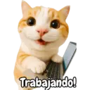 Frases de gatito#1 💬🐱 15