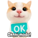 Frases de gatito#1 💬🐱 16