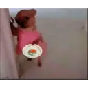 Memes floptok 8
