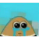 Memes floptok 14