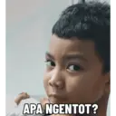 Anomali  23