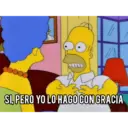 Los Simpson 14