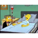 Los Simpson 17
