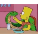 Los Simpson 22