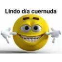 Bola amarilla shitpost 12