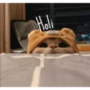 Gatitos tiernos ;) 6