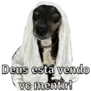 Brigas e tretas 23