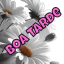 Boa nação  11