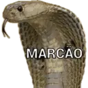 Boa nação  14