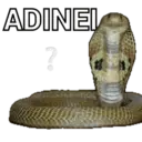Boa nação  16