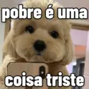 Cachorrinhos fofos 😍❤️ 9