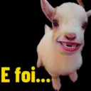 Memes top 8