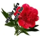 una flor para otra flor