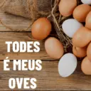 TODES É MEUS OVES