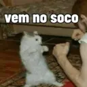 MEMES NECESSÁRIOS !!!🤣 9