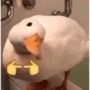 Bebe 10