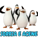 Novo 5