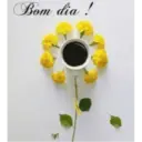 Bom dia, boa tarde e boa noite 17
