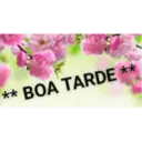 Bom dia, boa tarde e boa noite 24