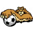Pumas UNAM 12