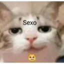 Cuticuti  11