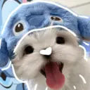 🐕  Perros  Cute 💕 15