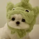 🐕  Perros  Cute 💕 21