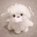 🐕  Perros  Cute 💕 22