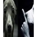 Tiktok 10