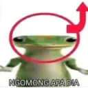 Kucing langor 8