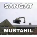 Kucing langor 13