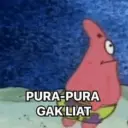 Kucing langor 16