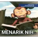 Kucing langor 25