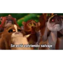 Acaso crees que somos ricos 8