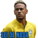 MEMES DE QUALIDADE 11