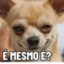 Zona de memes e deboches 🤭 9