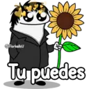 Flork-varios 👑😌✨ 9