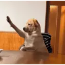 Tu mama  1