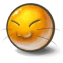 Yolks Smiles 20