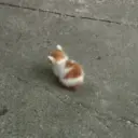 Gatitos tristes 11